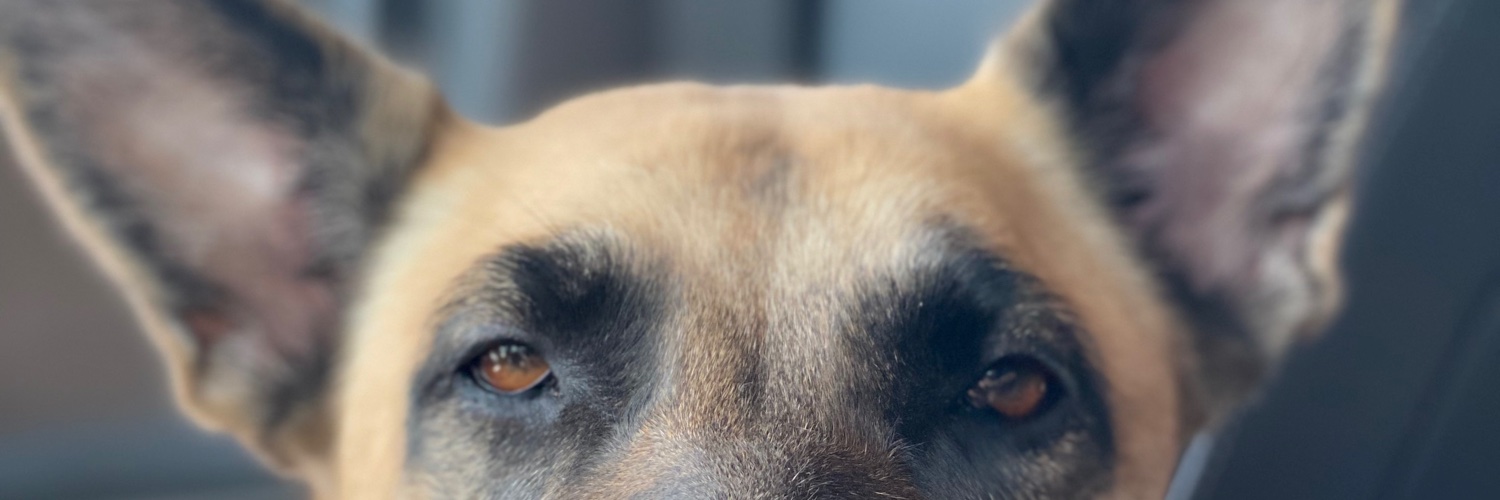simoaahovelo's profile banner image