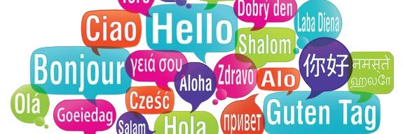 free 🇵🇸🇵🇸 banner