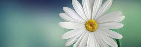 KarahBetter's profile banner image