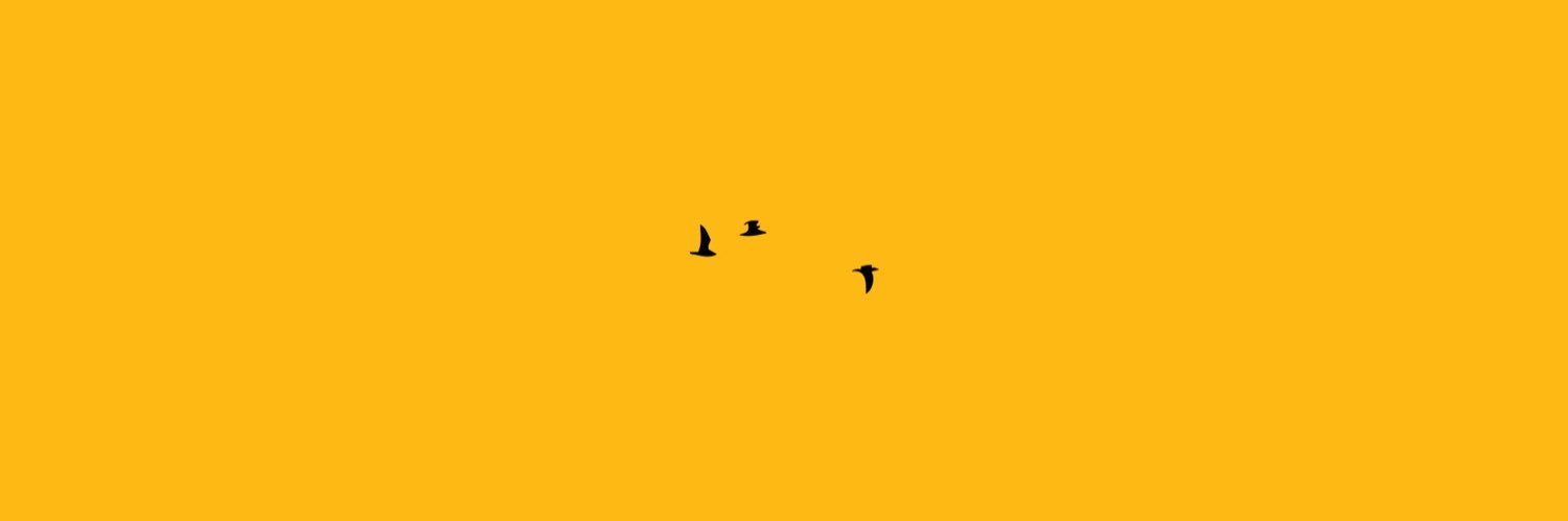 coldcade's profile banner image