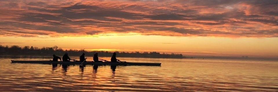 stephmdaley's profile banner image