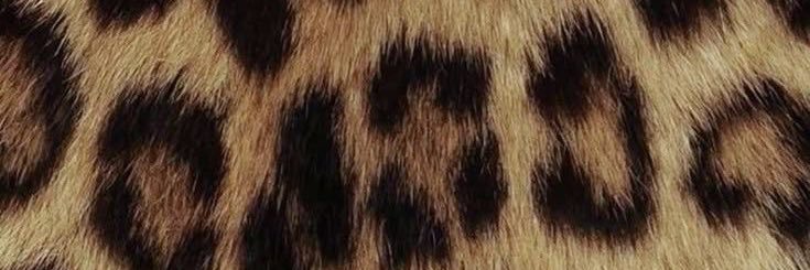 x0bangz's profile banner image