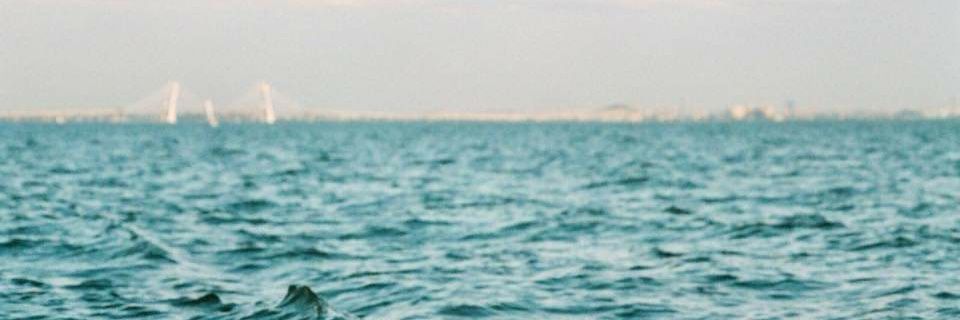 freakyfm's profile banner image