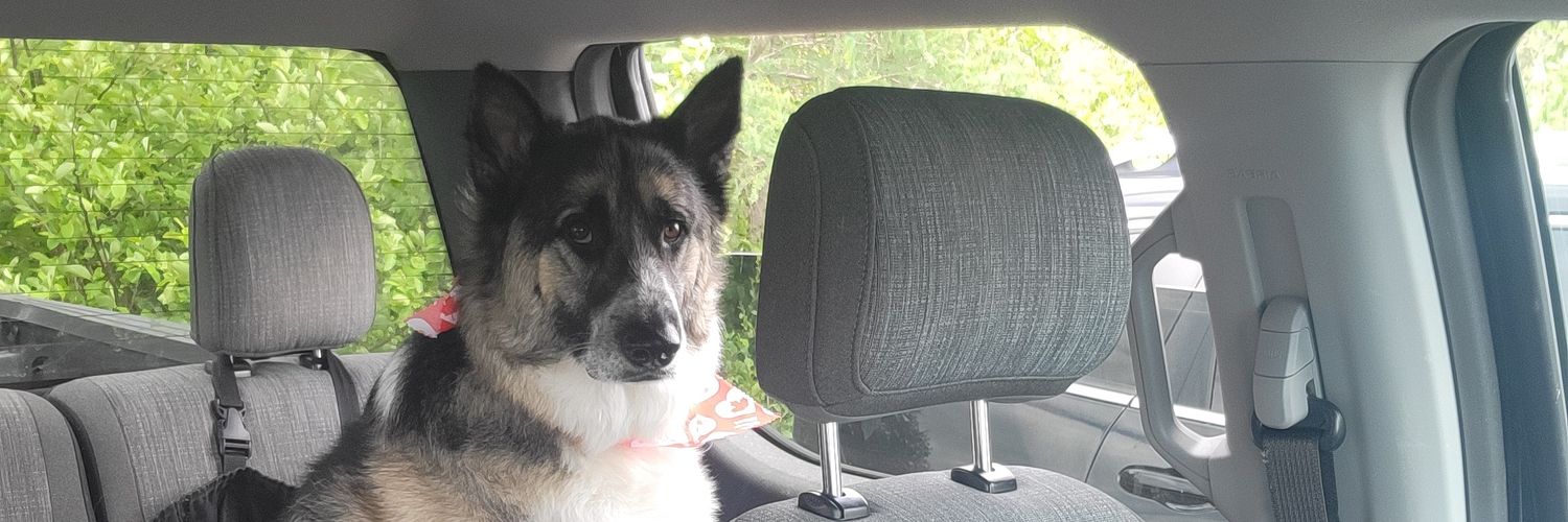 Jim Hancock 🇨🇦 banner