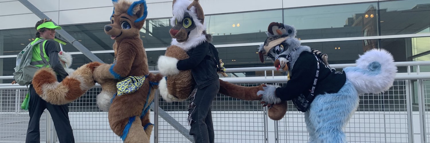 birdcatpige's profile banner image