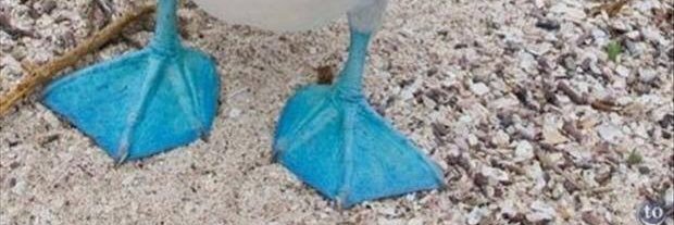 Ms ⌬'Sullivan Science banner