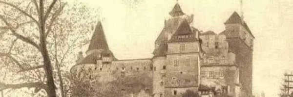 Max1Davis Profile Banner