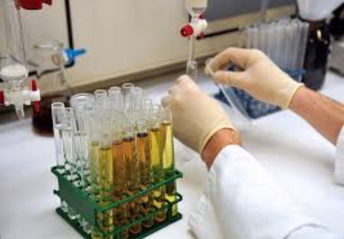 Educación Superior banner