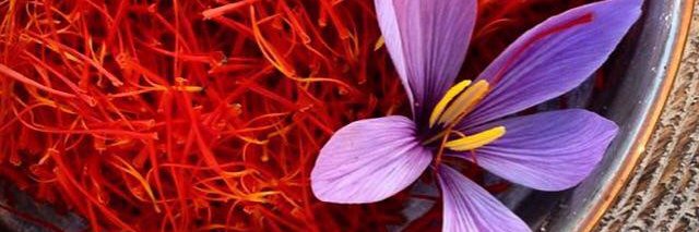 Saffron Republic banner