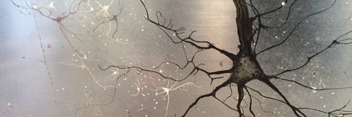 SpoiledDendrite's profile banner image