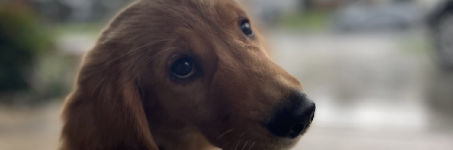 Taylorismy_name's profile banner image