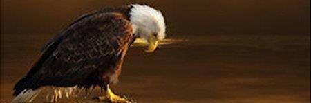 Mich_kevlar's profile banner image