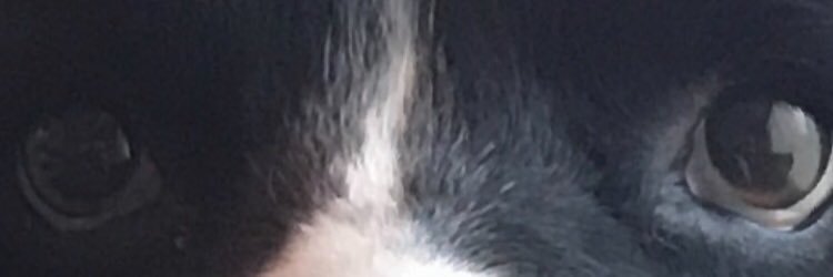 foggo93's profile banner image