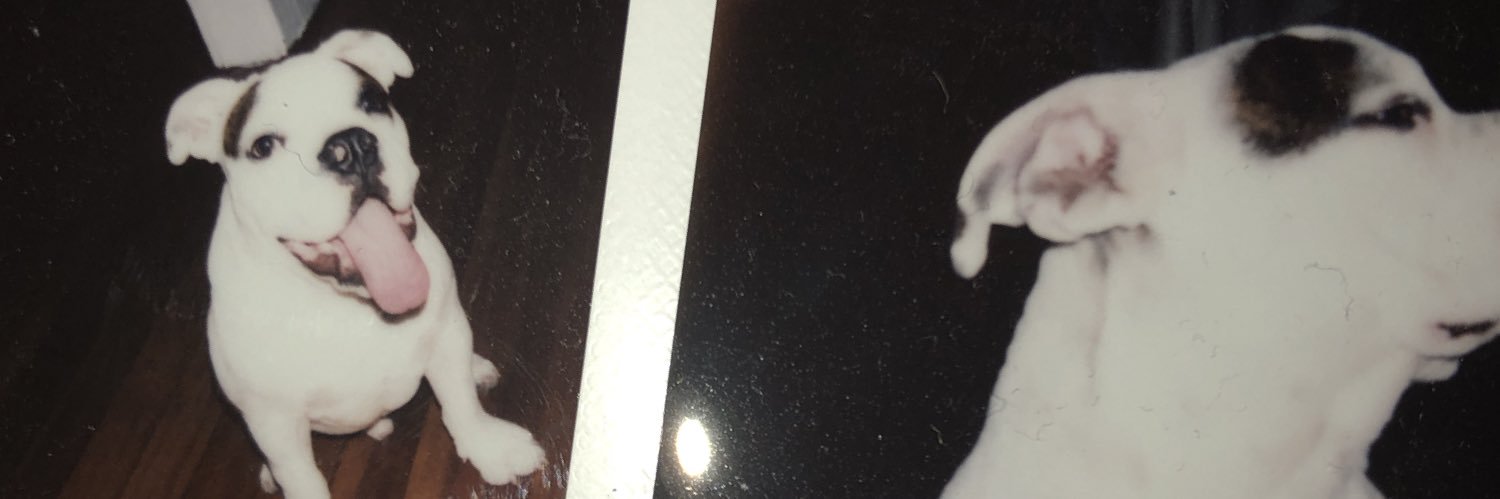 _David401's profile banner image