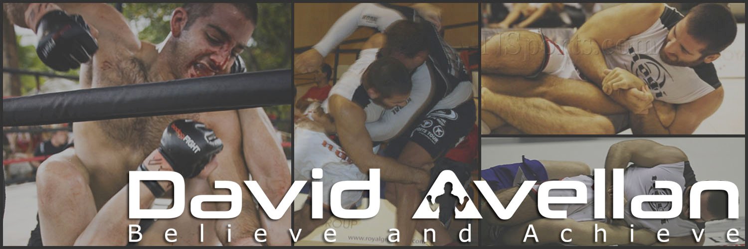 David Avellan banner