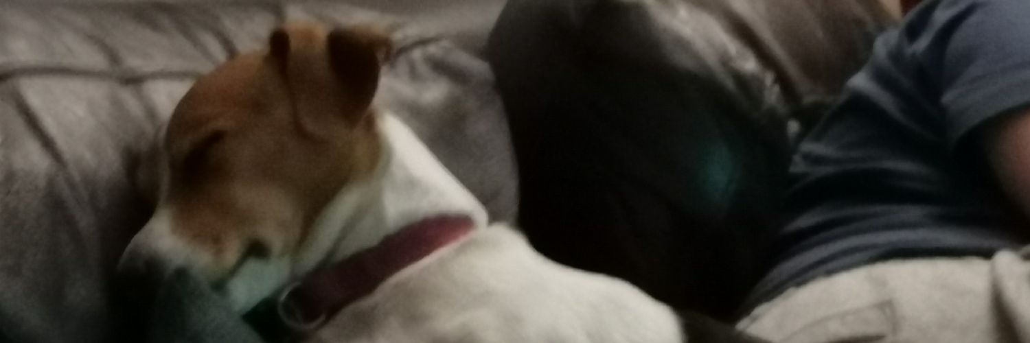 Iain Hamilton 🇬🇧🇺🇦 banner