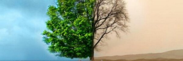 rsvp89 Profile Banner
