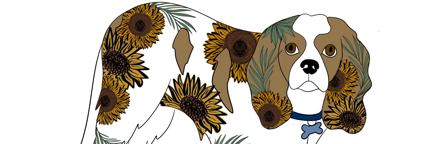 Punkiy500's profile banner image