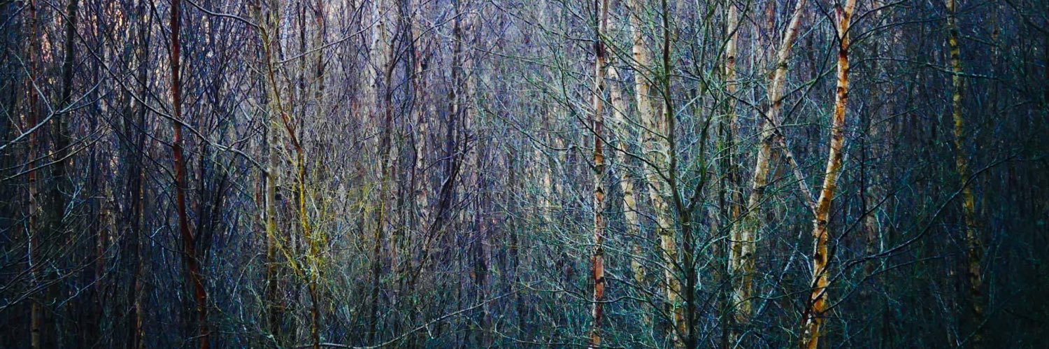 denise arkley banner