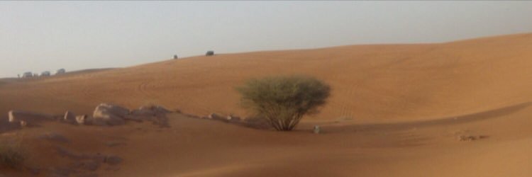 sanafanwar's profile banner image