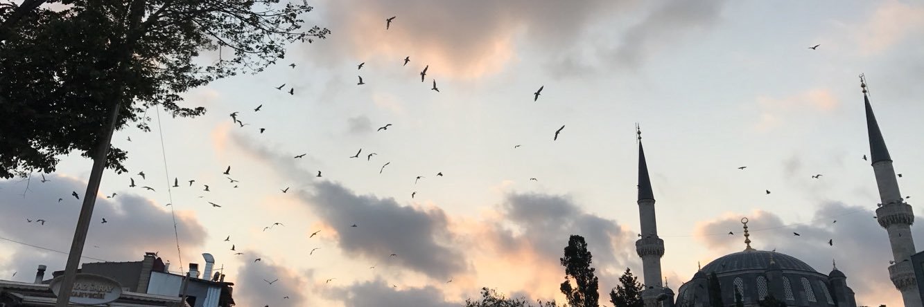 Celoche1012's profile banner image
