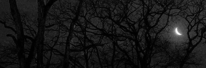 xosessyy's profile banner image