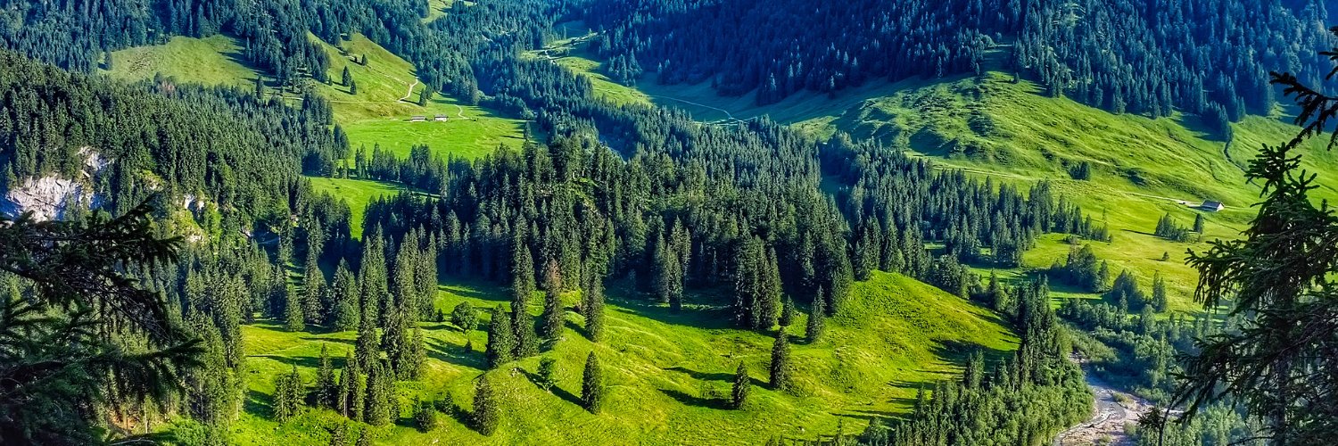 HinterlandSYStm's profile banner image