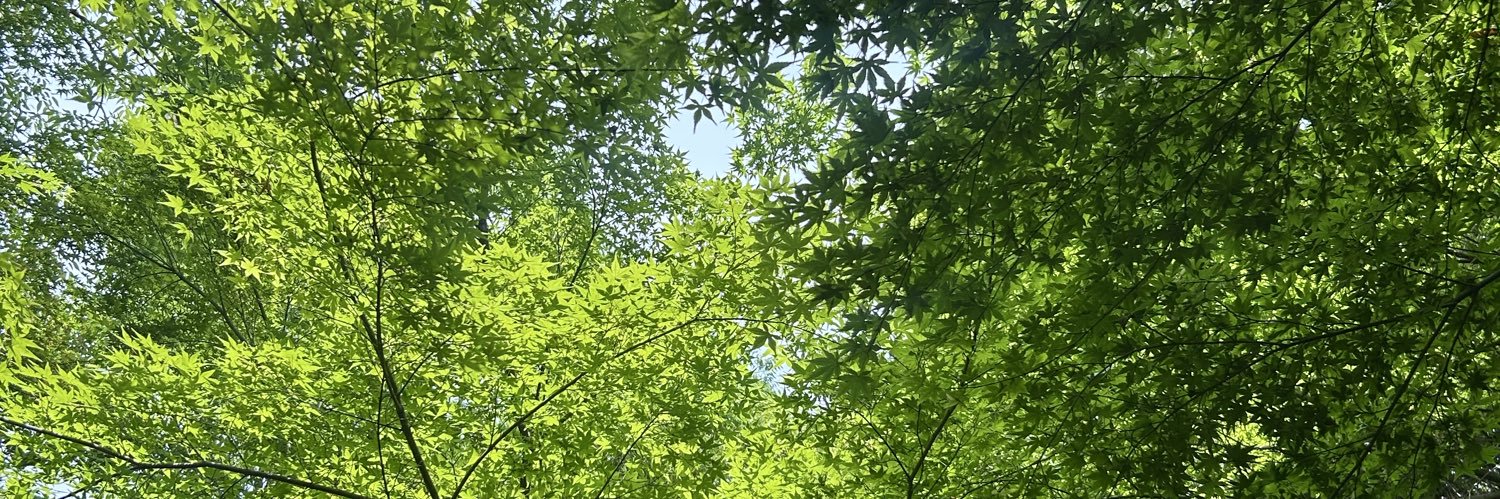 六花 banner