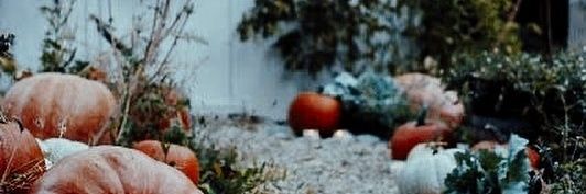 Julia_leo30's profile banner image