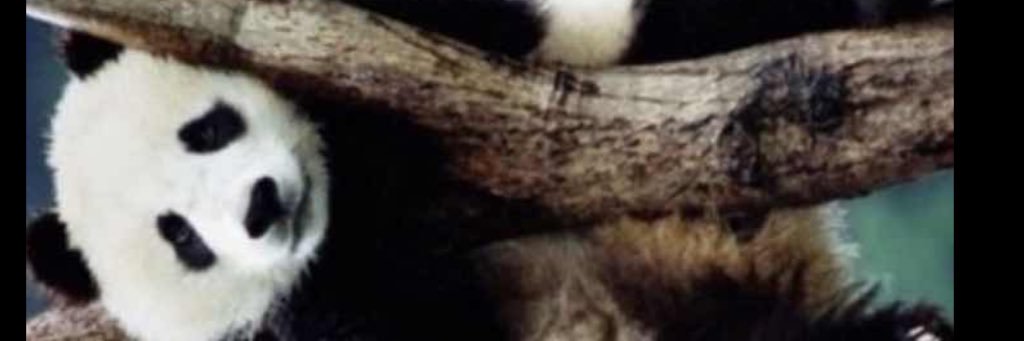 tj7roi's profile banner image