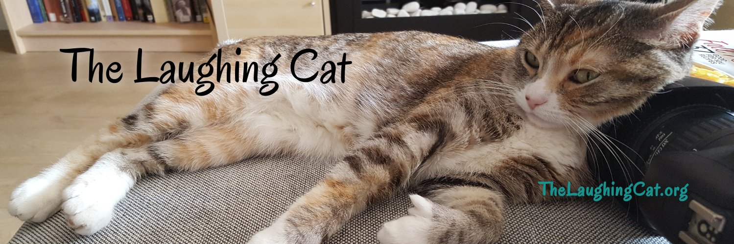 TheLaughingCat_'s profile banner image