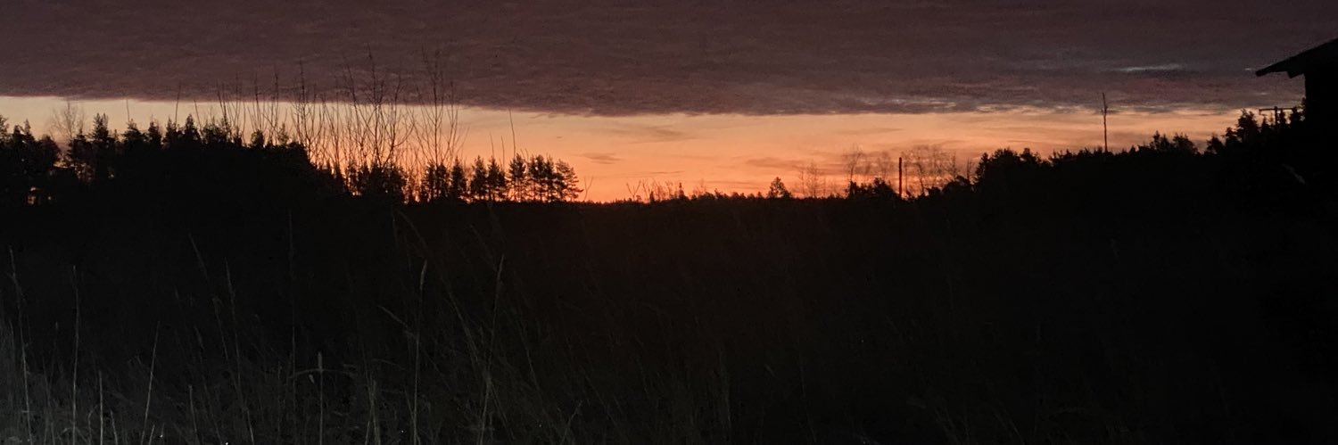 IndominusRex__'s profile banner image