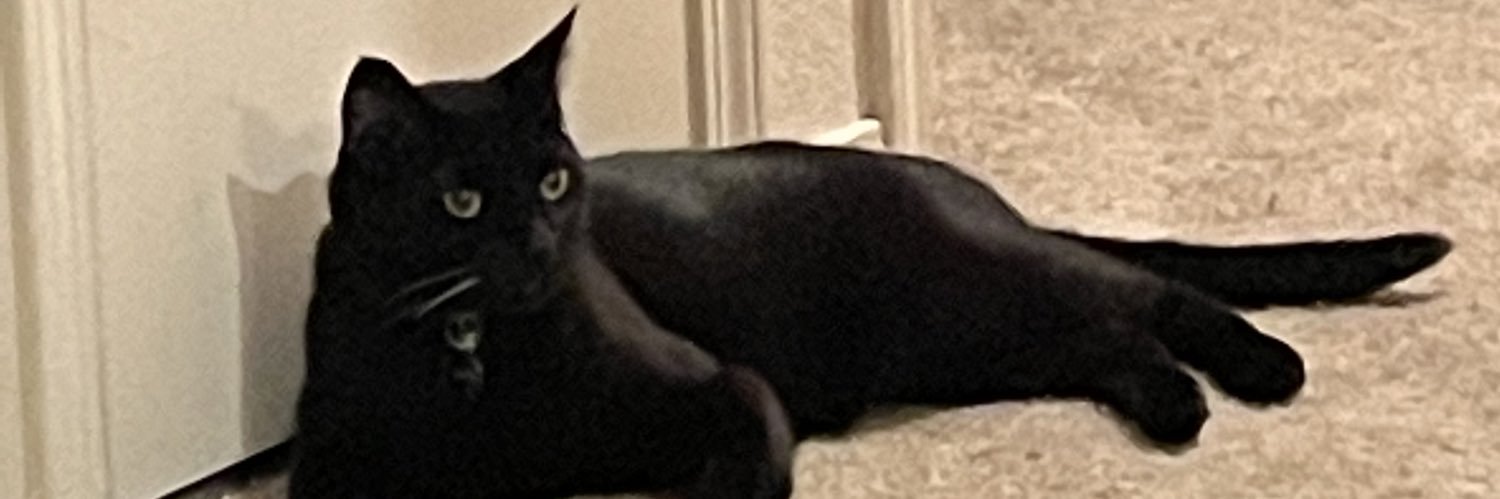 P_Dizzle88's profile banner image