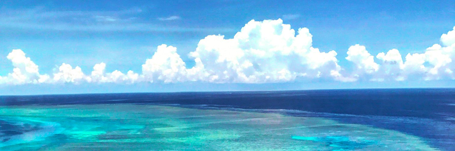 ANDYRIDLEY's profile banner image