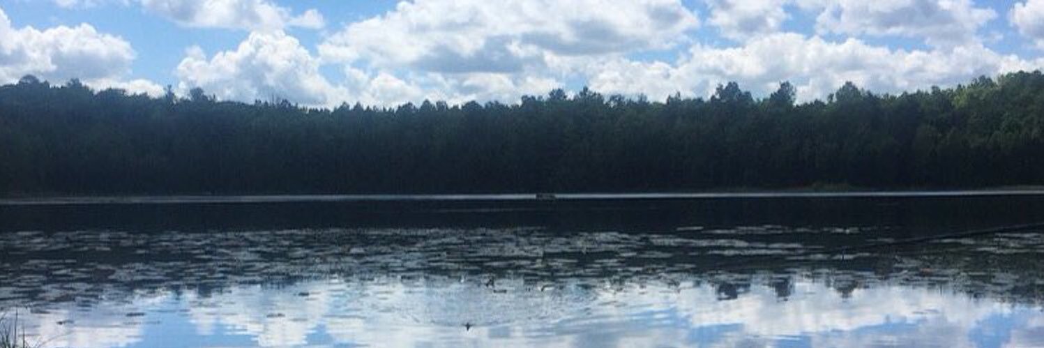 Swansslake's profile banner image