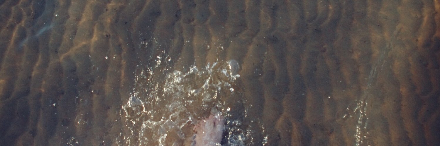 embeeann's profile banner image
