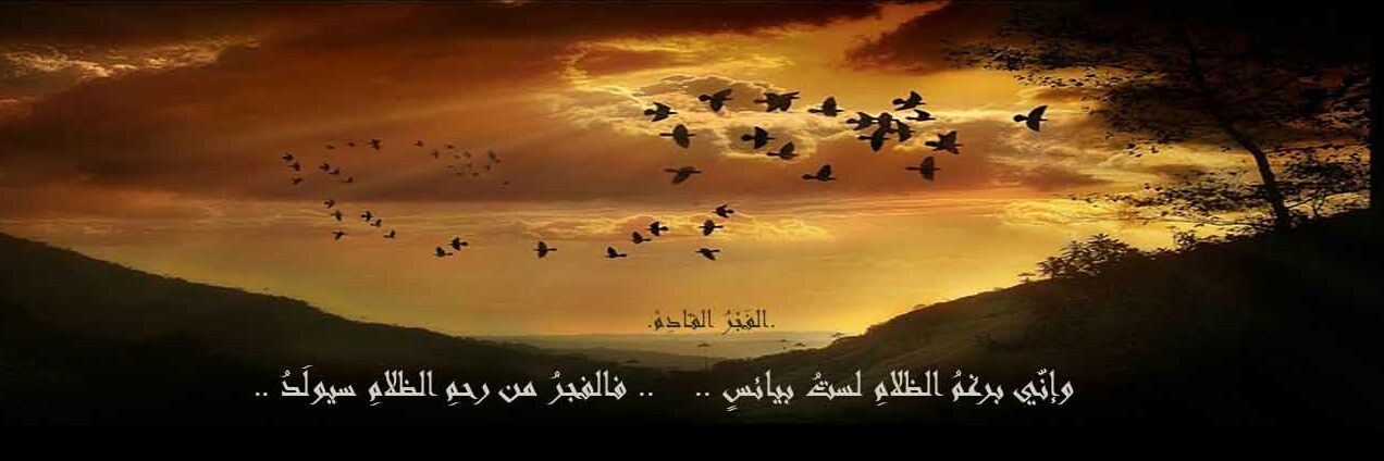 VIP_Alfajer's profile banner image