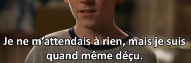 Stéphane 🇫🇷 banner