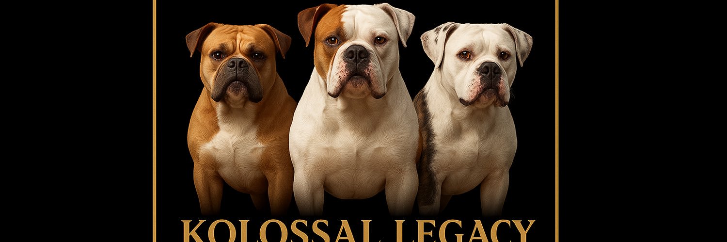 williamsera28's profile banner image