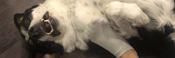 _LeenaM Profile Banner