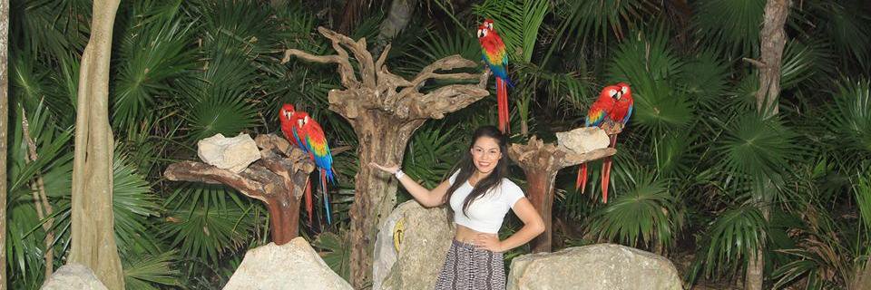 NataliaGro's profile banner image