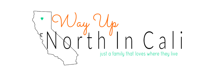 northincali's profile banner image