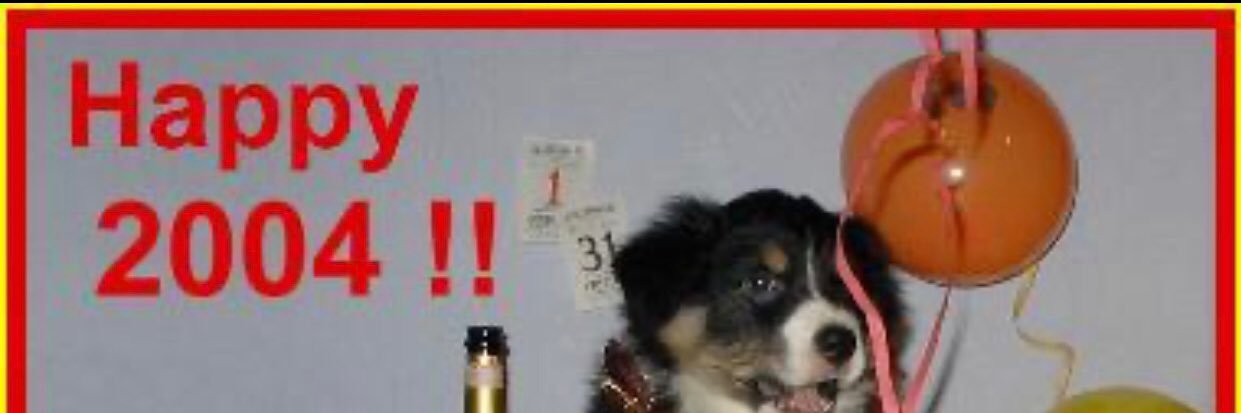 halpete_'s profile banner image