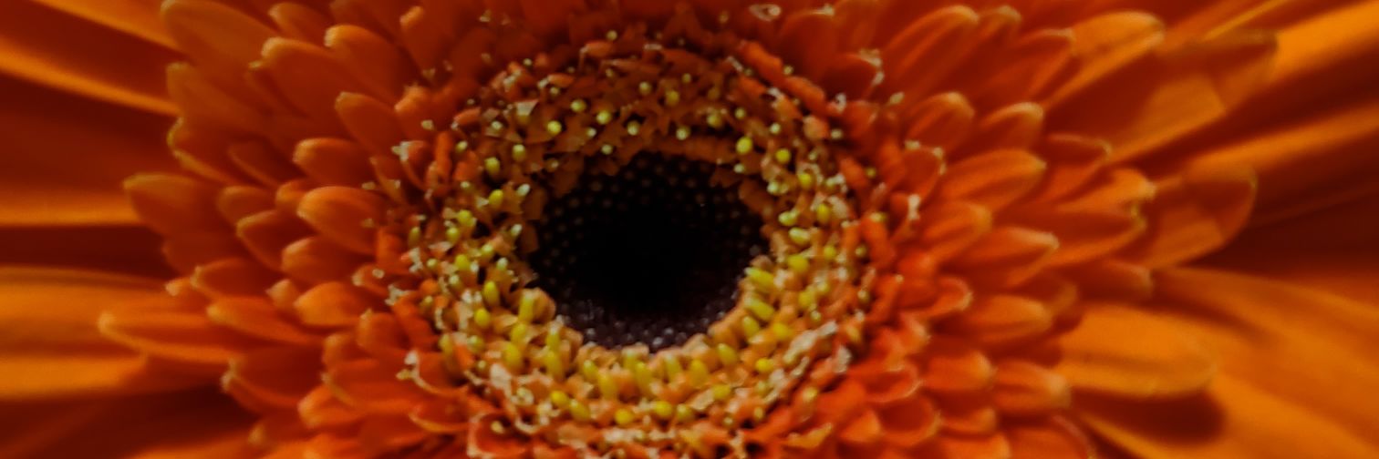 km_207_2's profile banner image