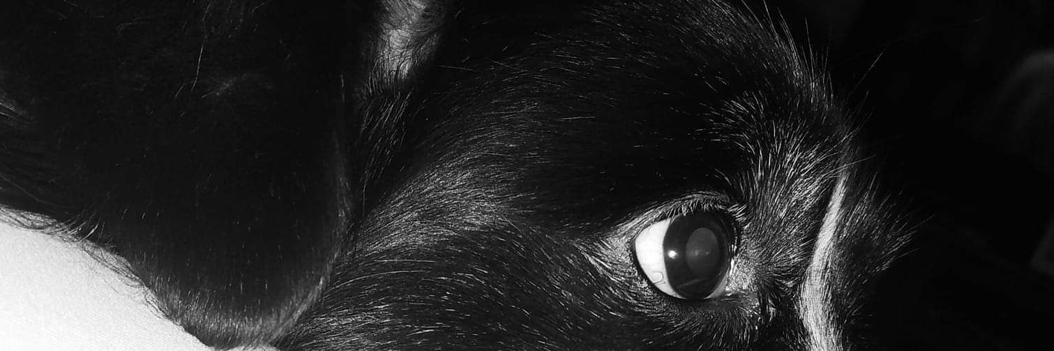 BailenAna's profile banner image