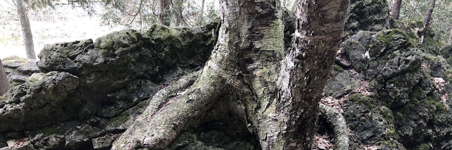 Blayne Primeau banner