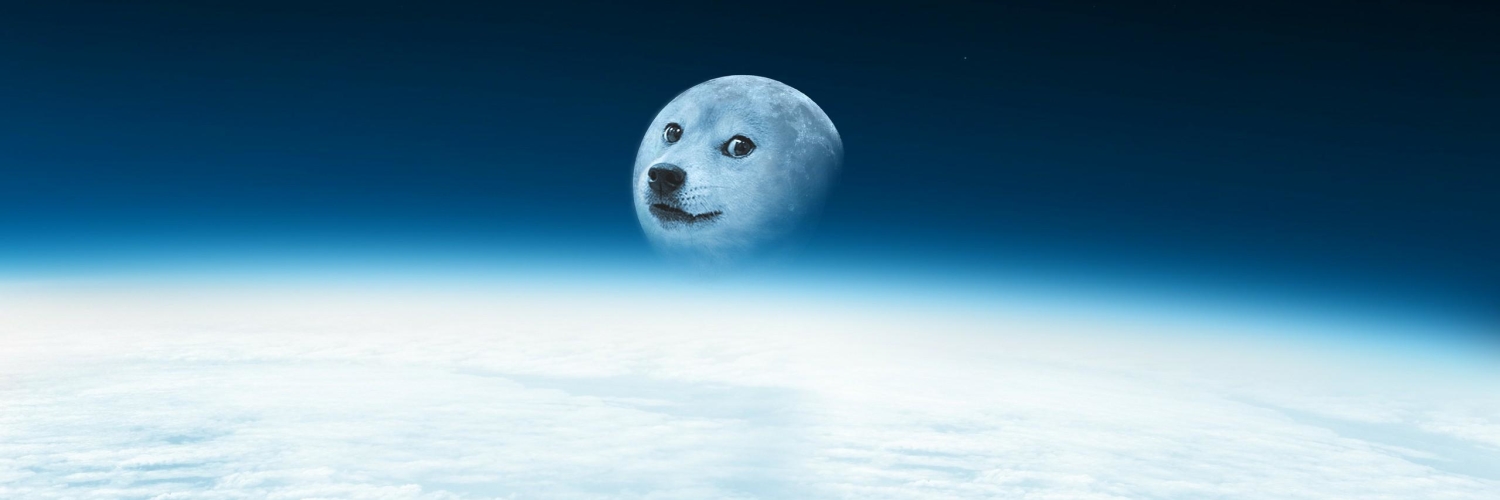 OBI DOGE SHIBNOBI banner