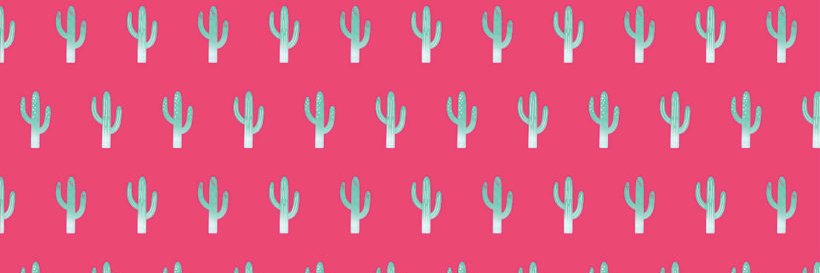 Social Cactus banner