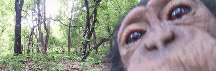 manc3_'s profile banner image