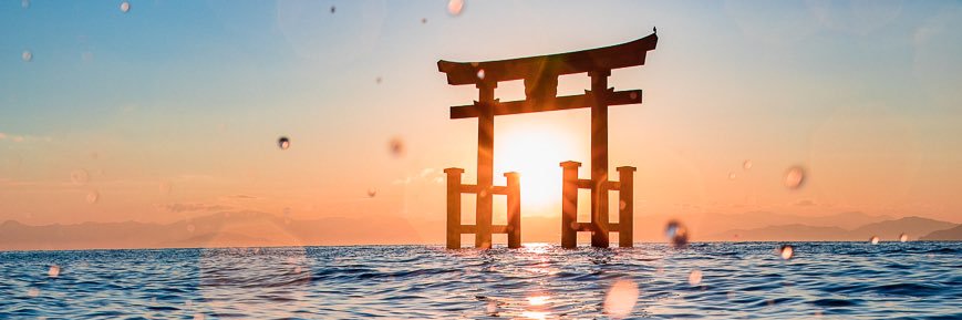 Yuushi1106's profile banner image